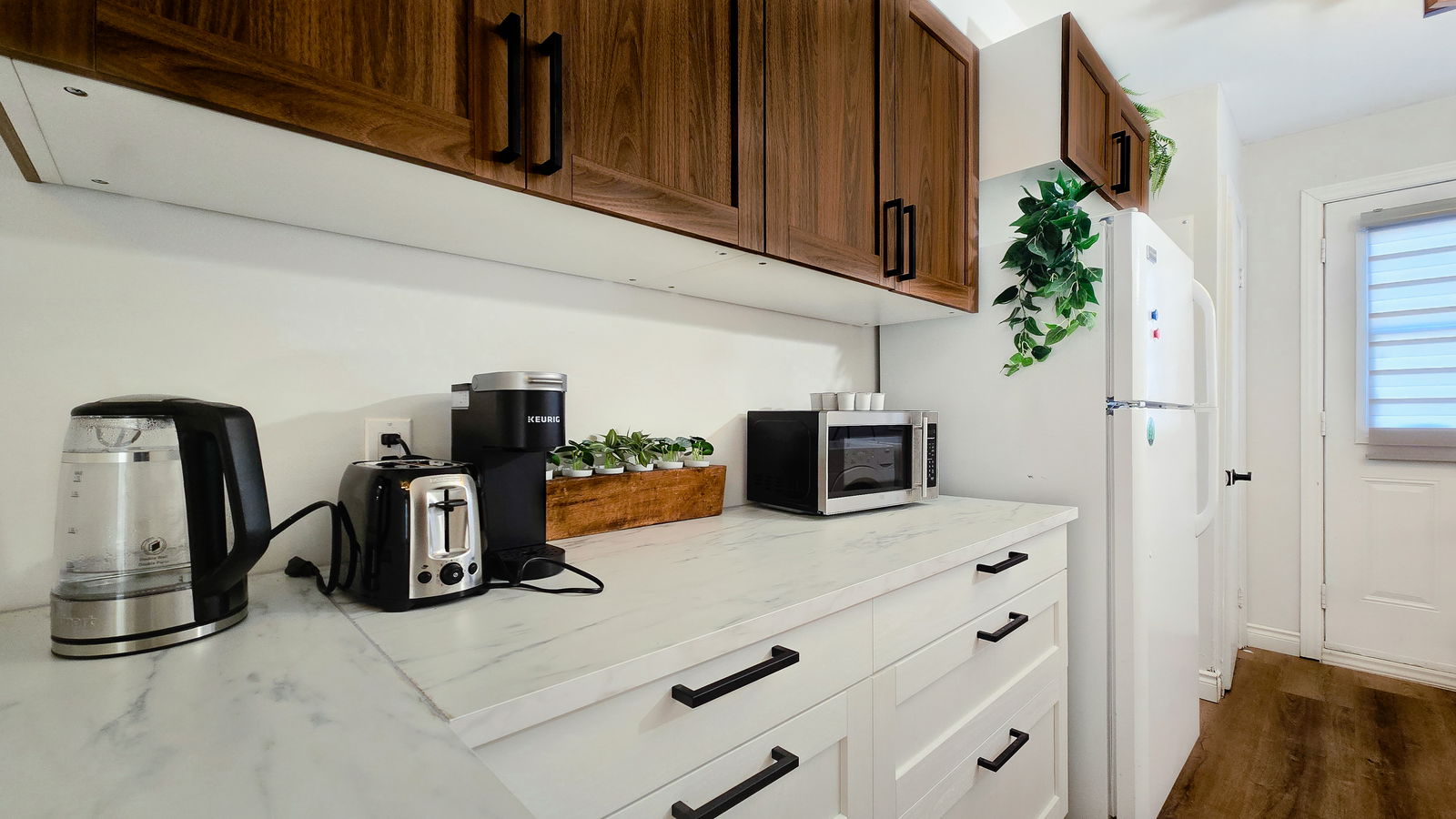 Kolokasie Montréal 654279