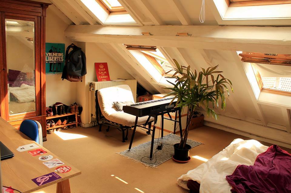 Kolokasie Schaerbeek 106848