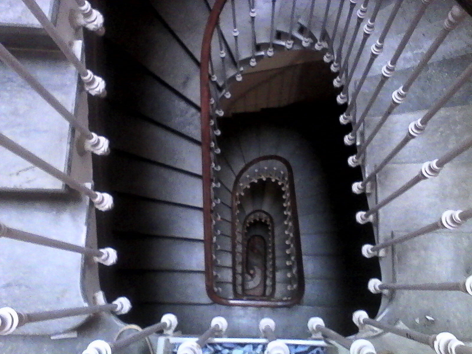 Kolokasie Montpellier 93502