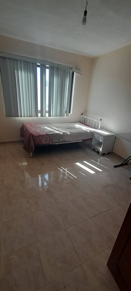 Kolokasie Santiago de Querétaro 490319