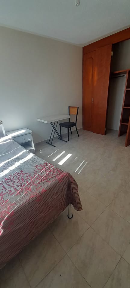 Kolokasie Santiago de Querétaro 490319