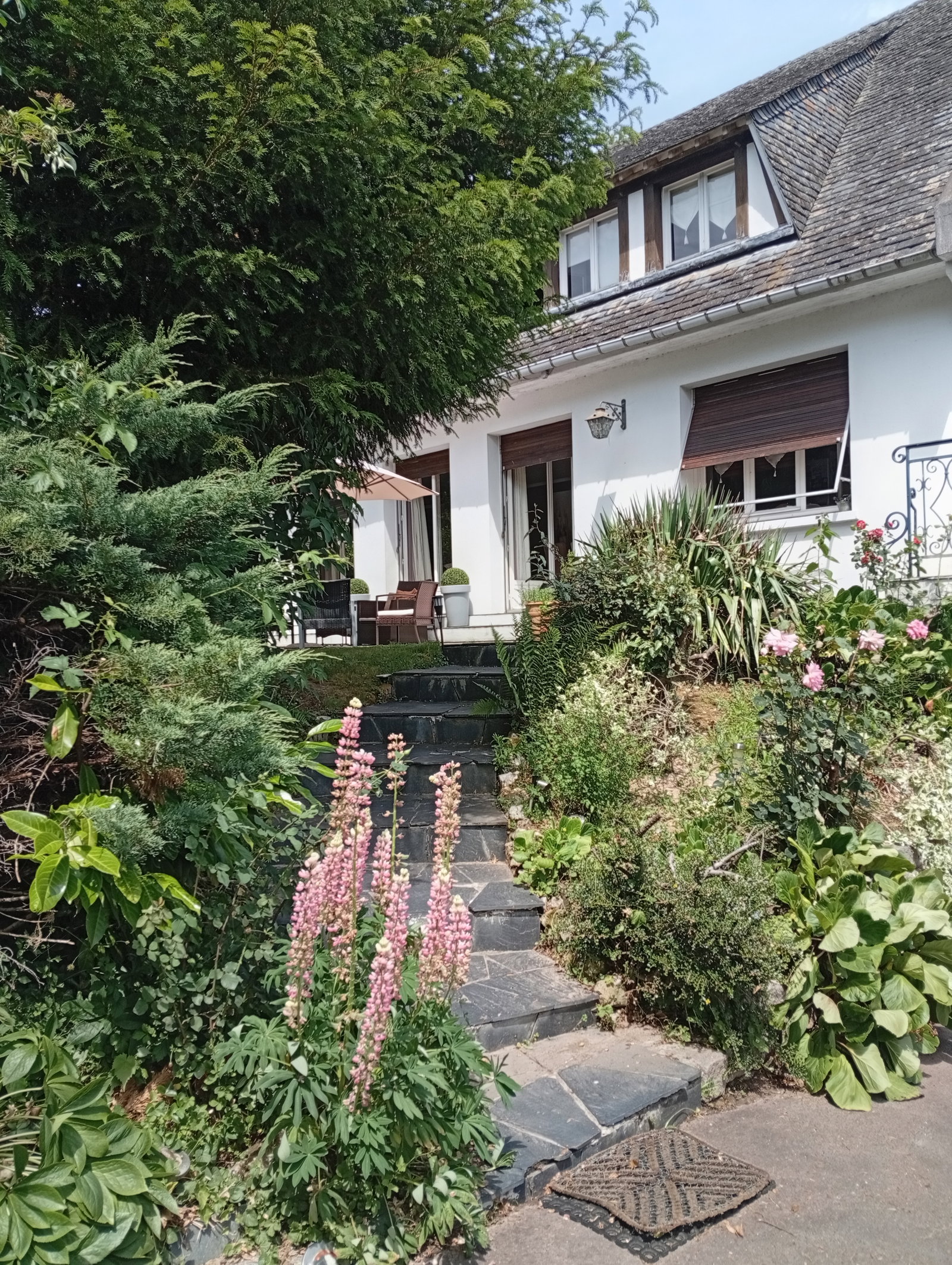 Homestay Barentin 664599