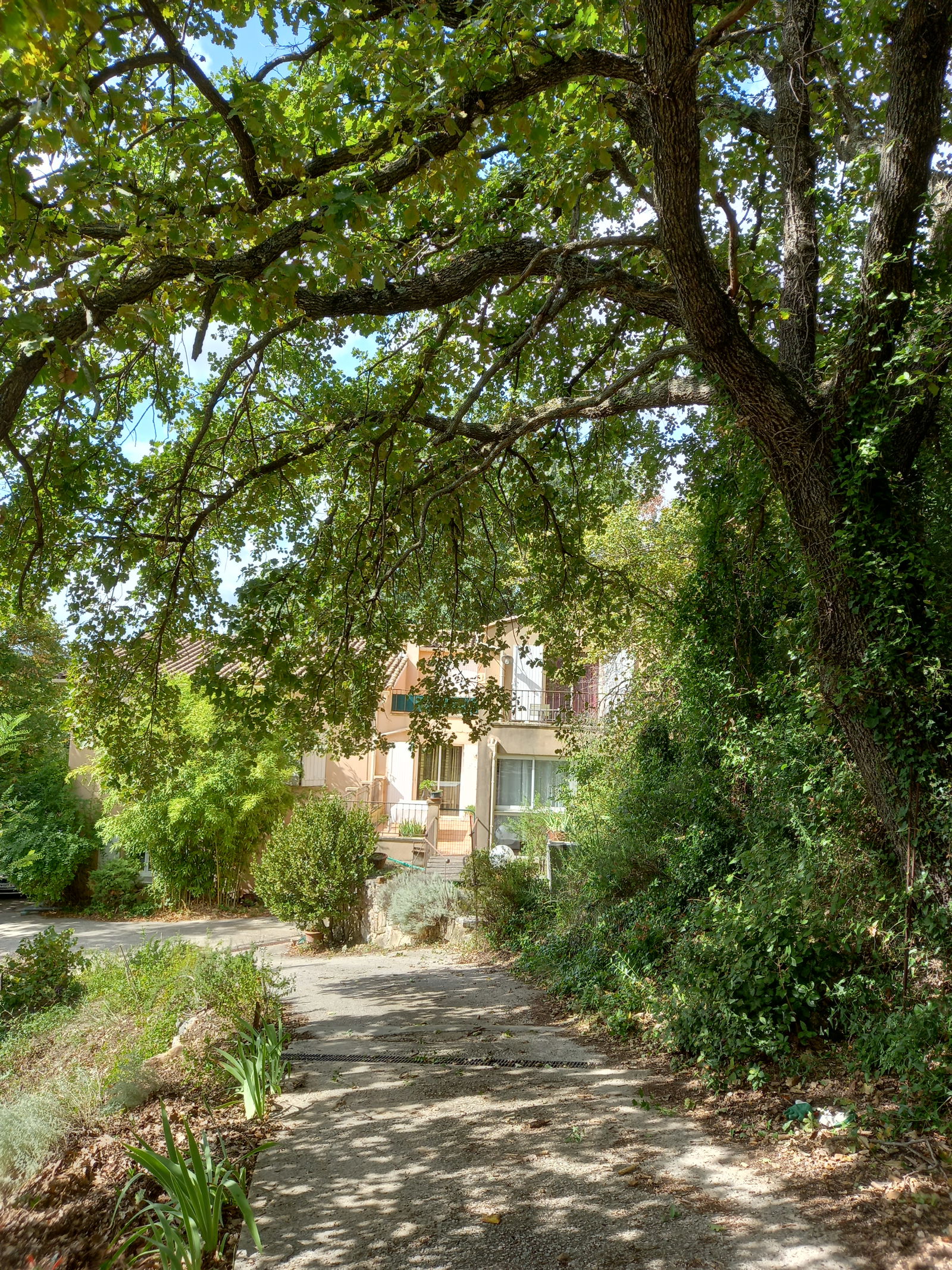 Tuisverblyf Soubès 545485