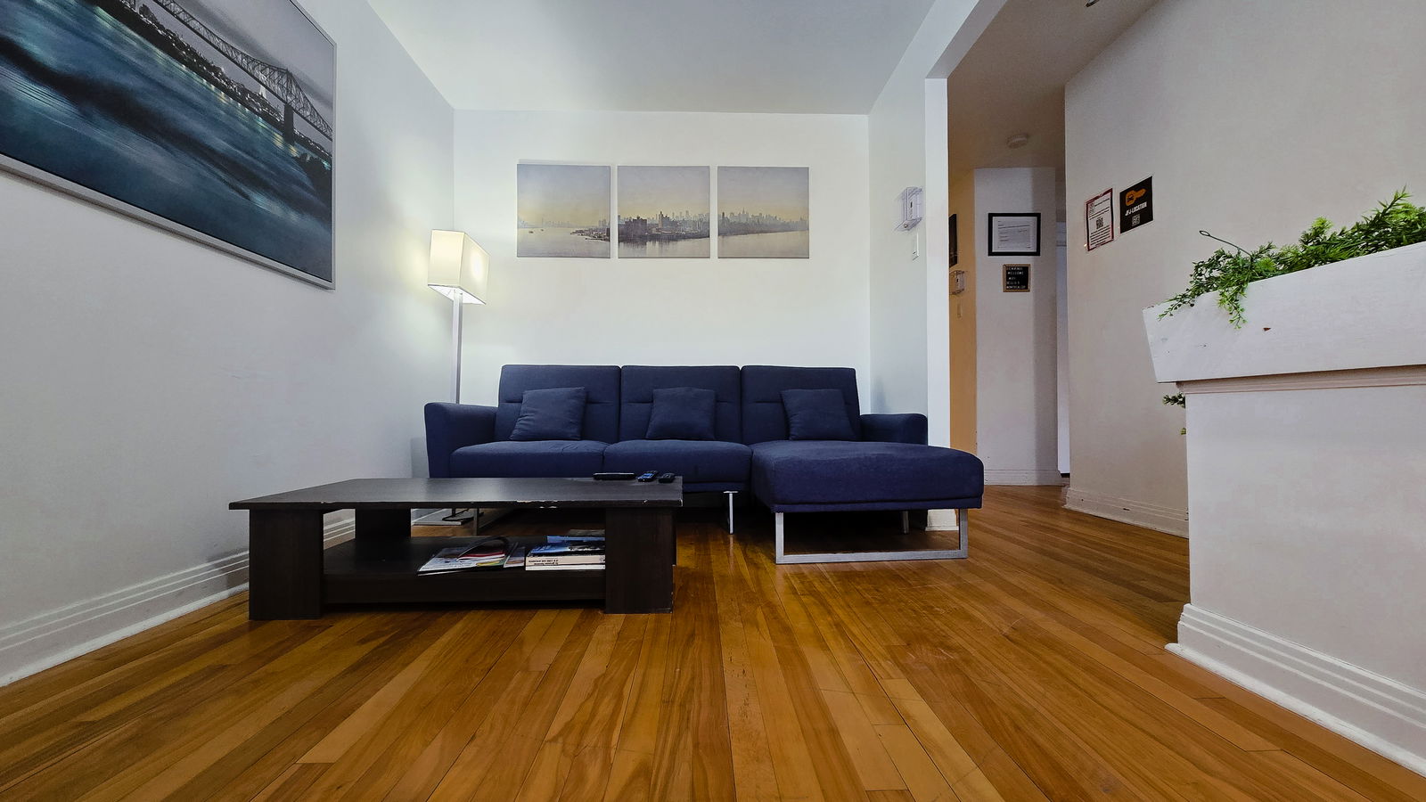 Kolokasie Montréal 653766