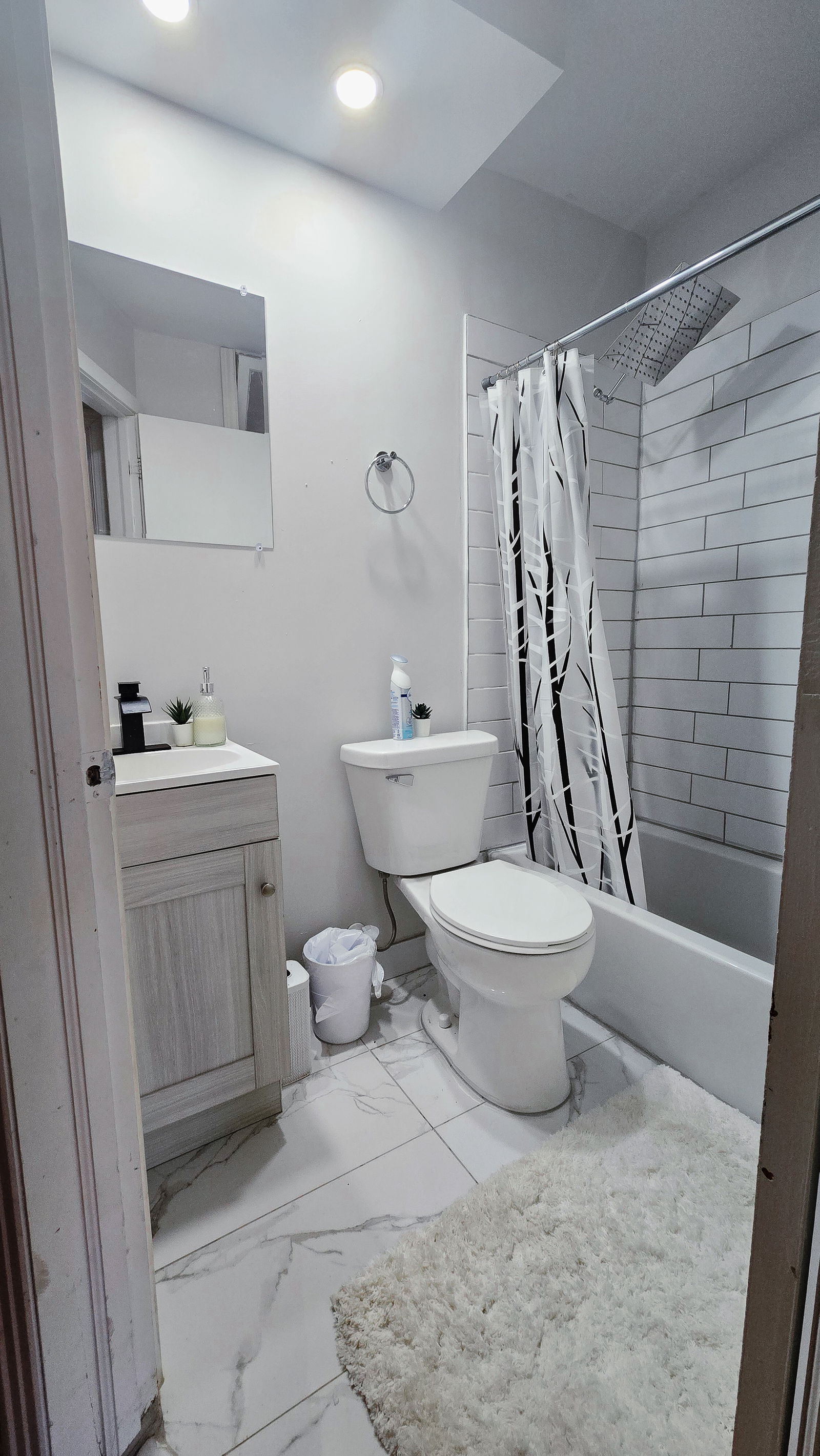 Kolokasie Montréal 653766