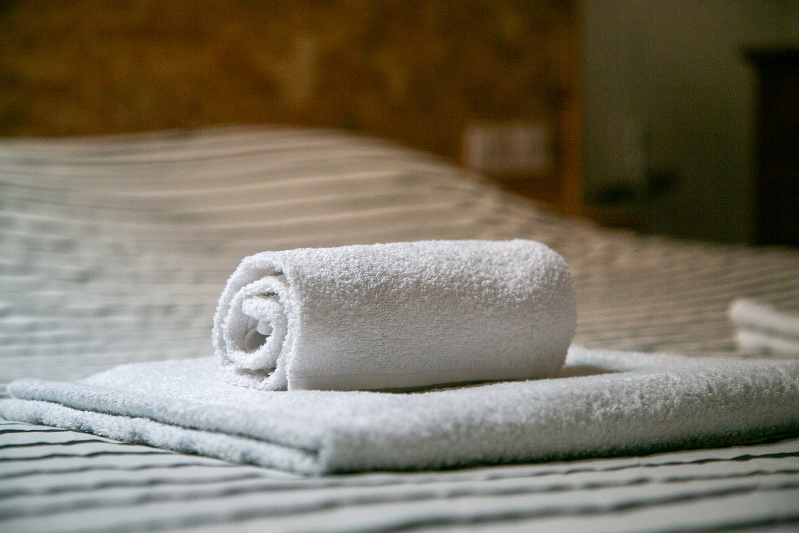 Gehele Woning Chambéry 662488