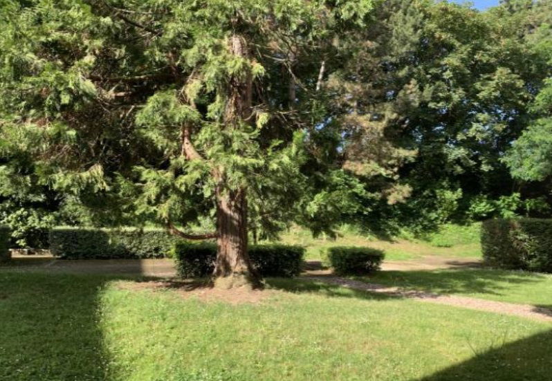 Tuisverblyf Versailles 412979