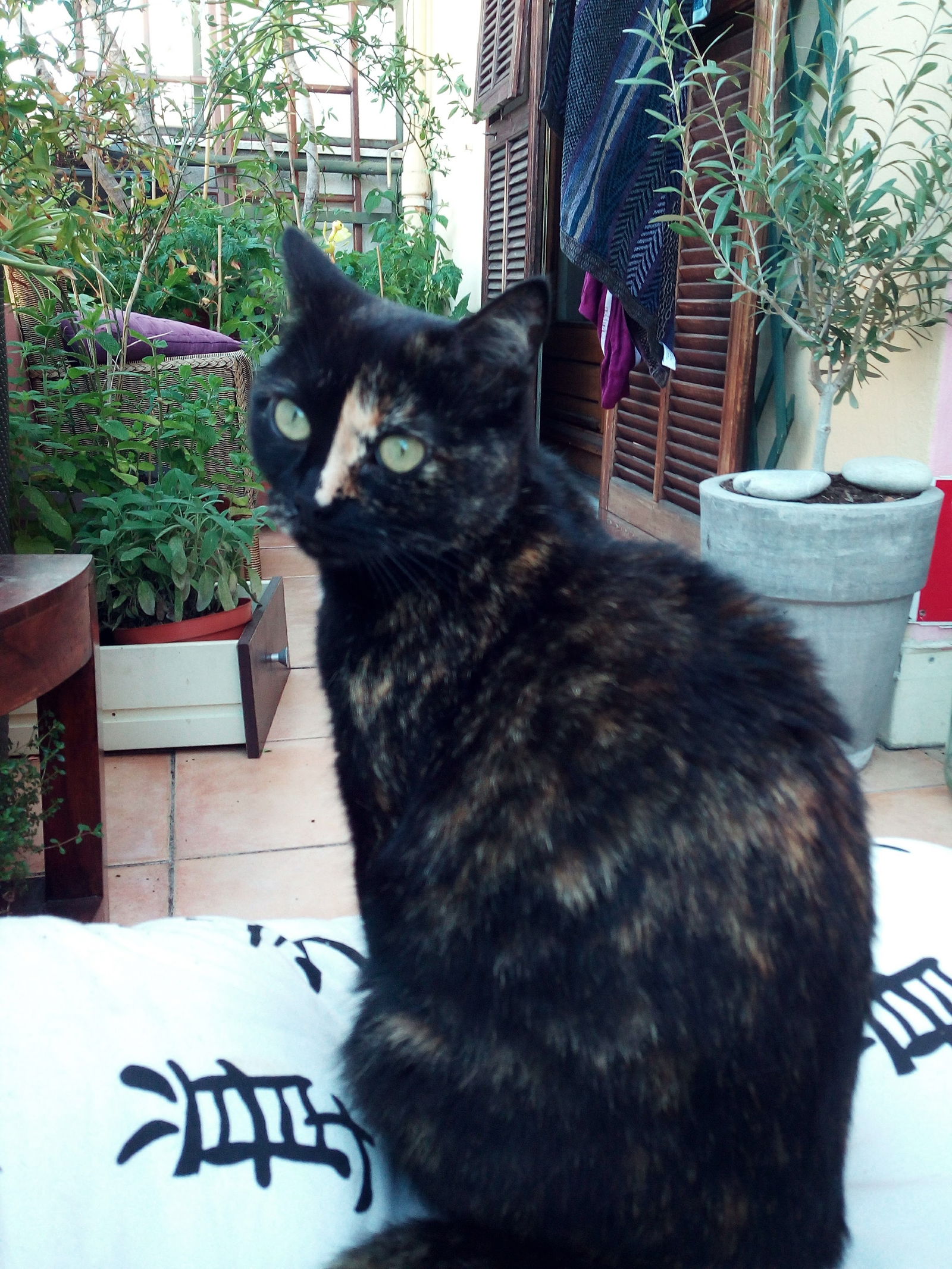 Tuisverblyf Nice 139568