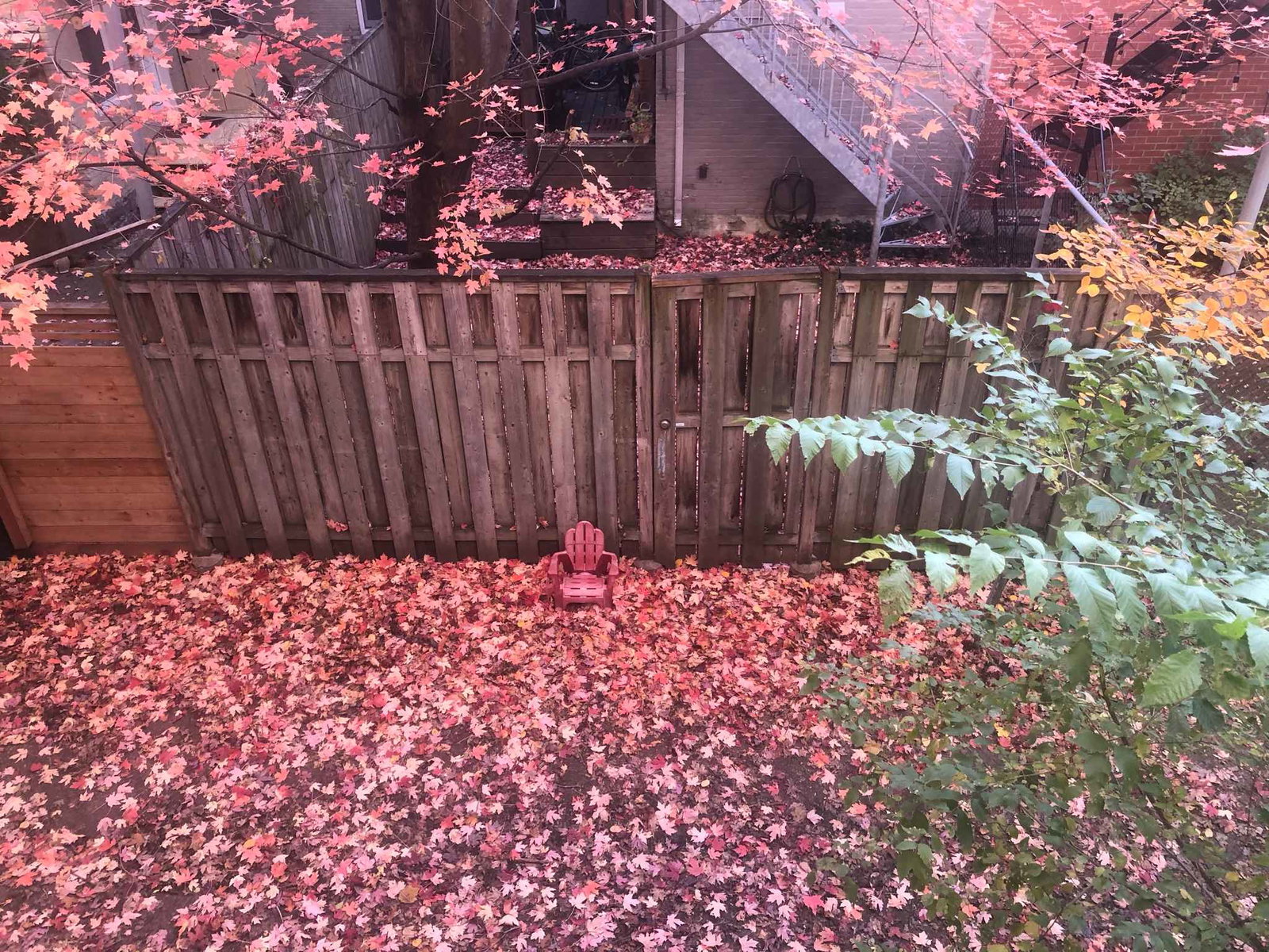 Homestay Montréal 668412