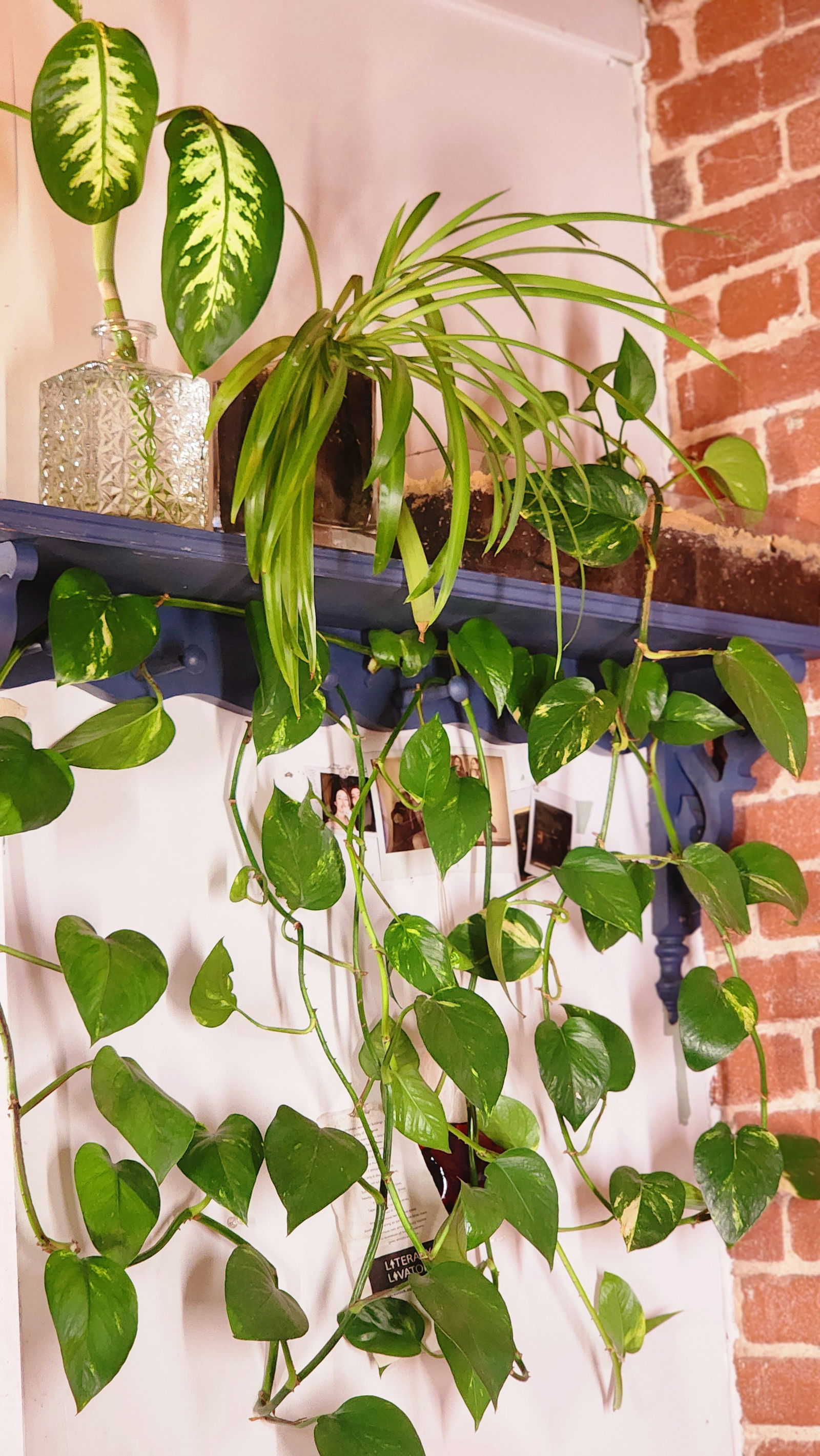 Tuisverblyf Montréal 390712