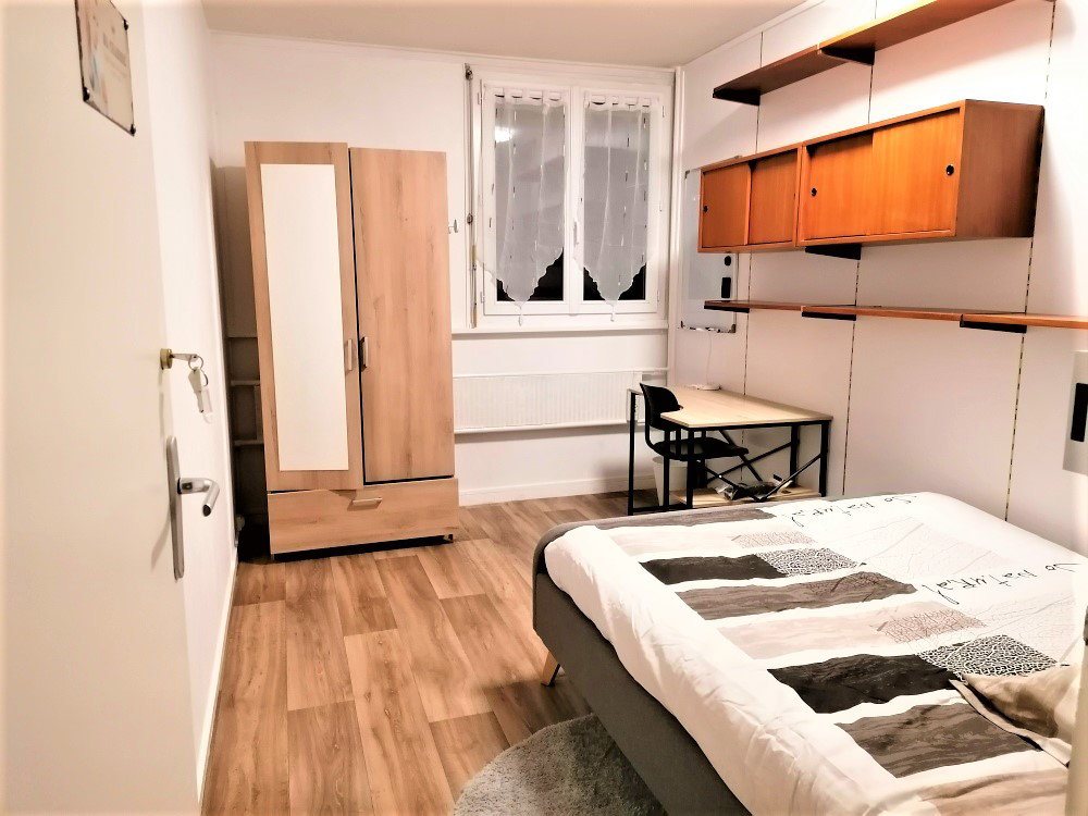 Kolokasie Saint-Étienne 504066