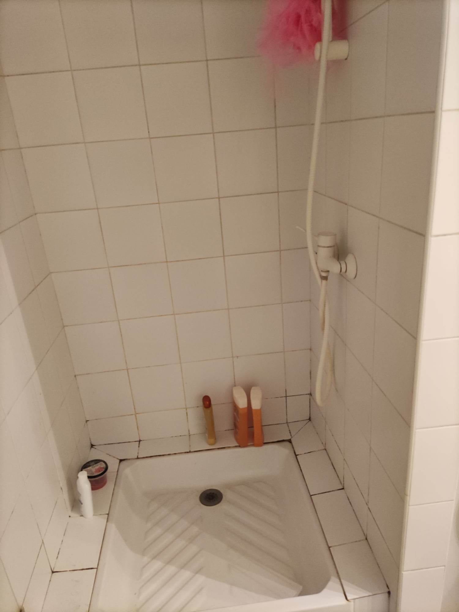 Kolokation Talence 317196