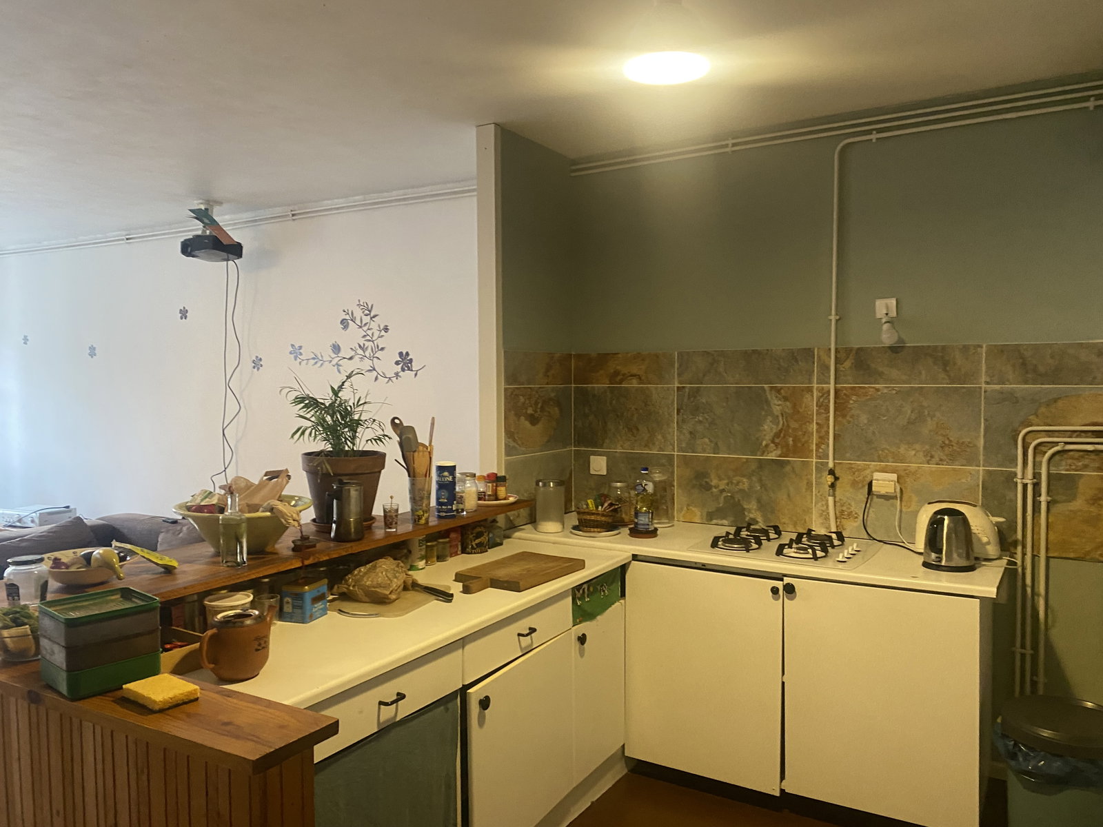 Gesamte Unterkunft Grenoble 667619