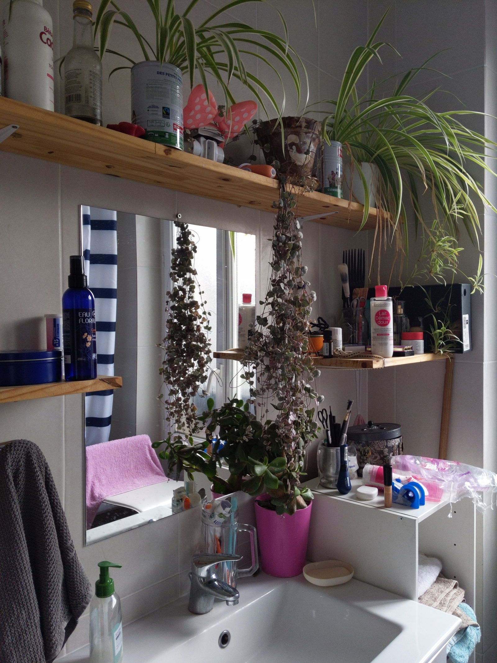 Gastfamilie Noisy-le-Sec 256378