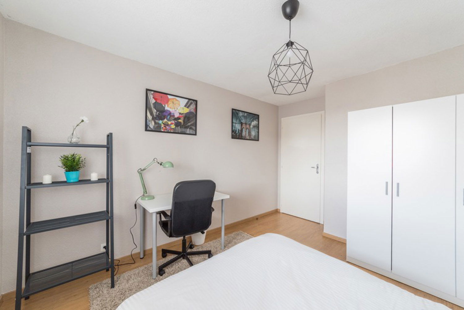 Kolokation Strasbourg 264704