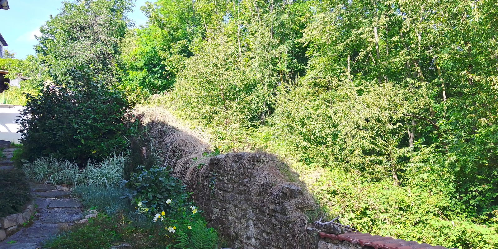 Unabhängiges Studio Saint-Étienne 68314