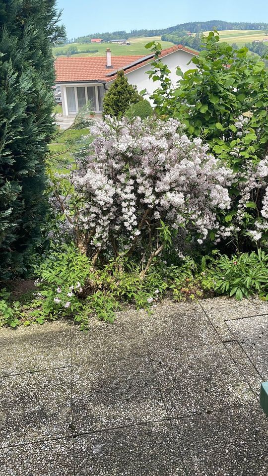 Gastfamilie Oron 374515