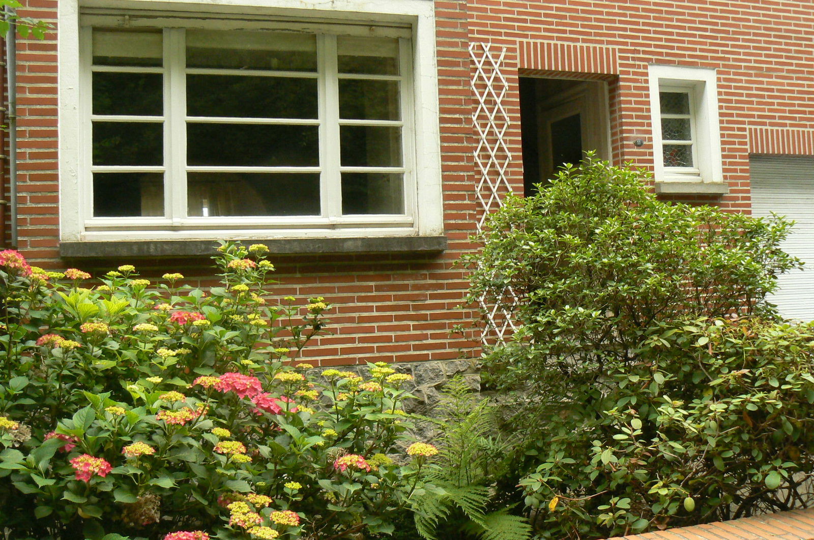 Kolokation Lasne 17803