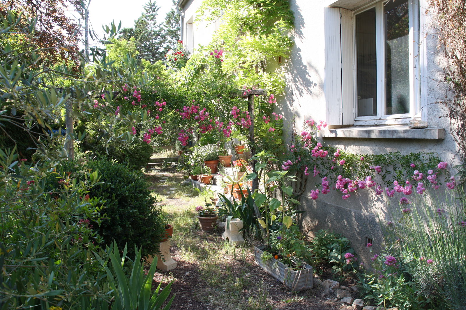 Gastfamilie Montpellier 167739