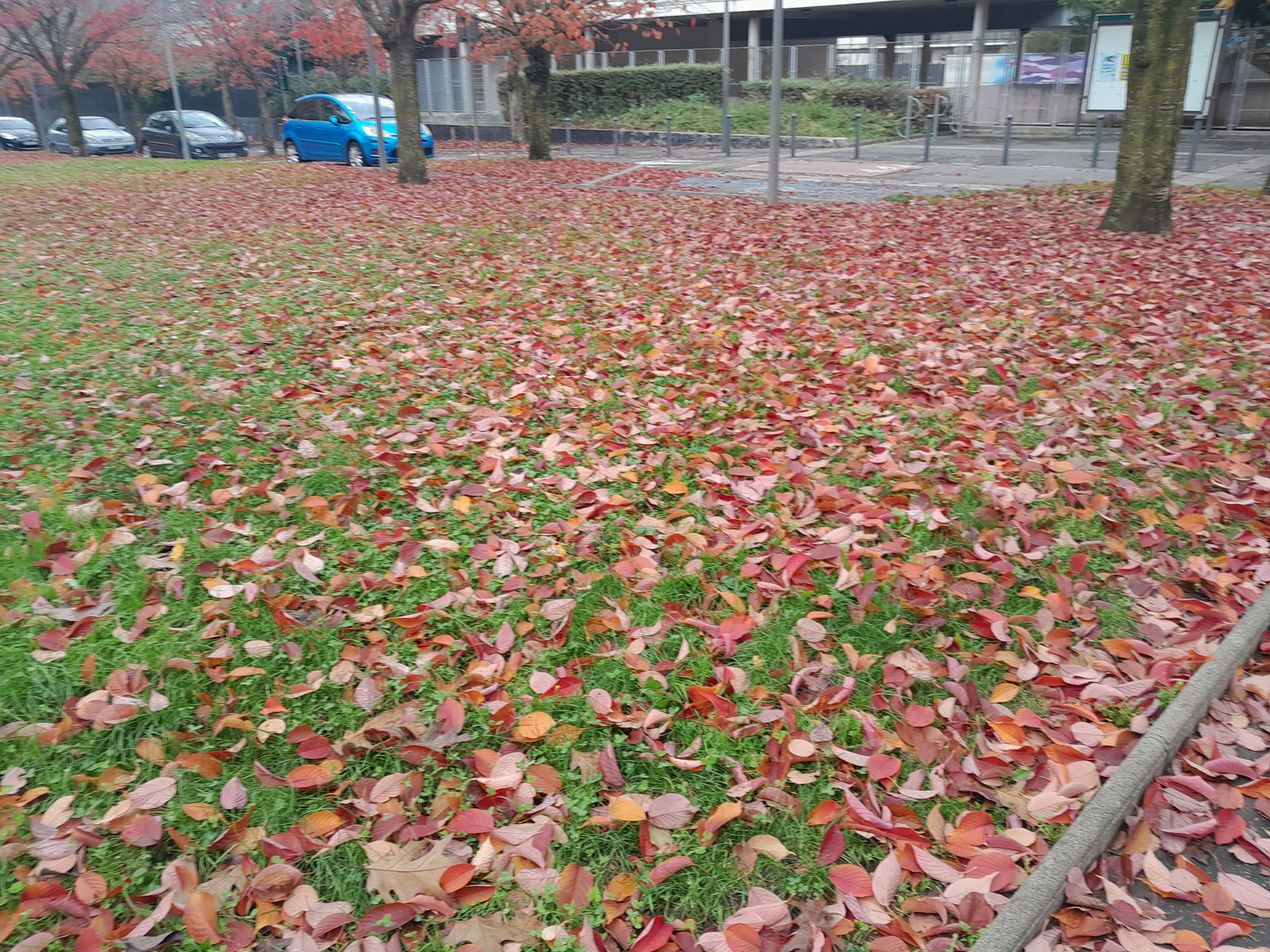 Unabhängiges Studio Noisy-le-Grand 301904