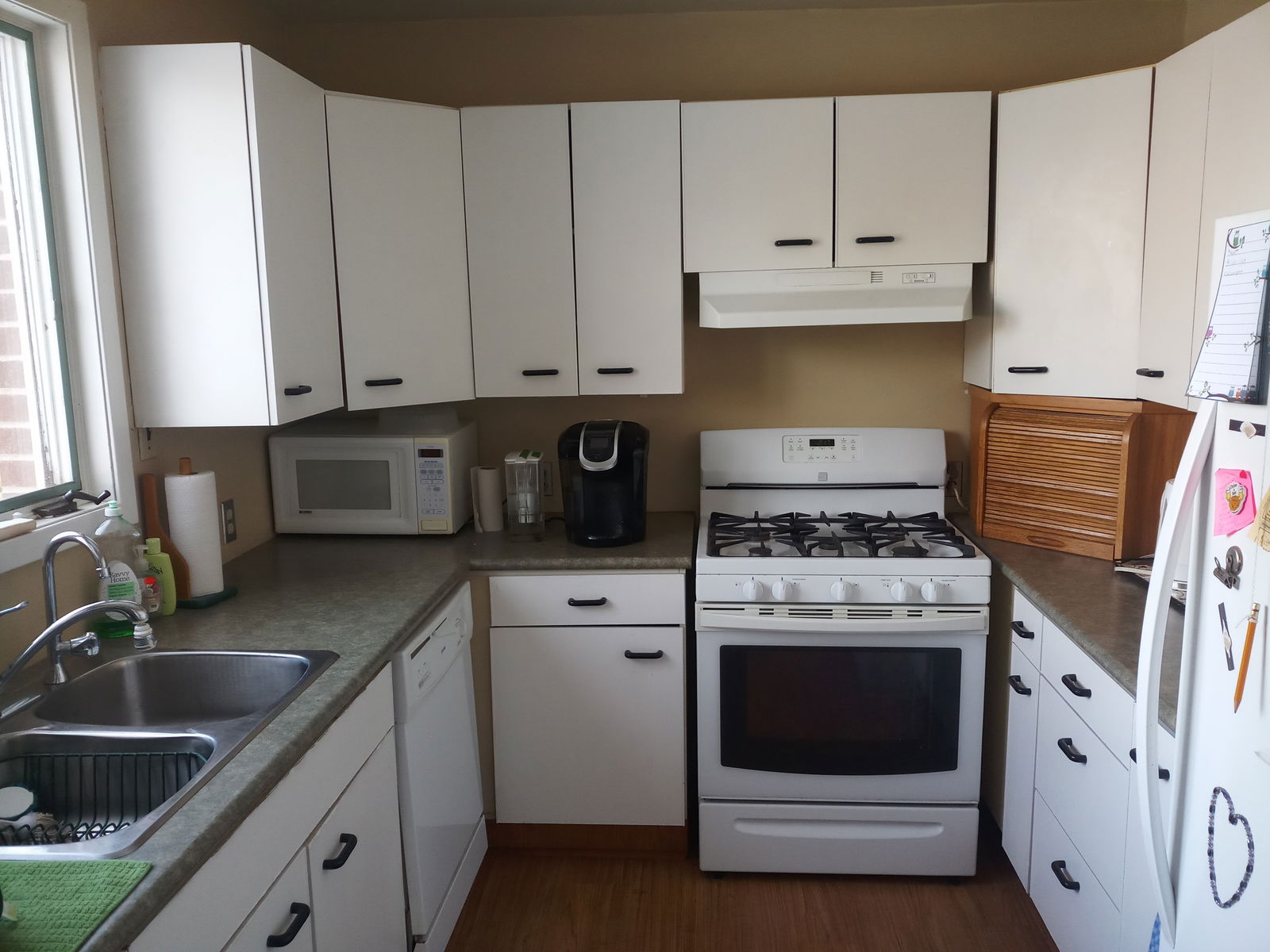 Gastfamilie Guelph 248897