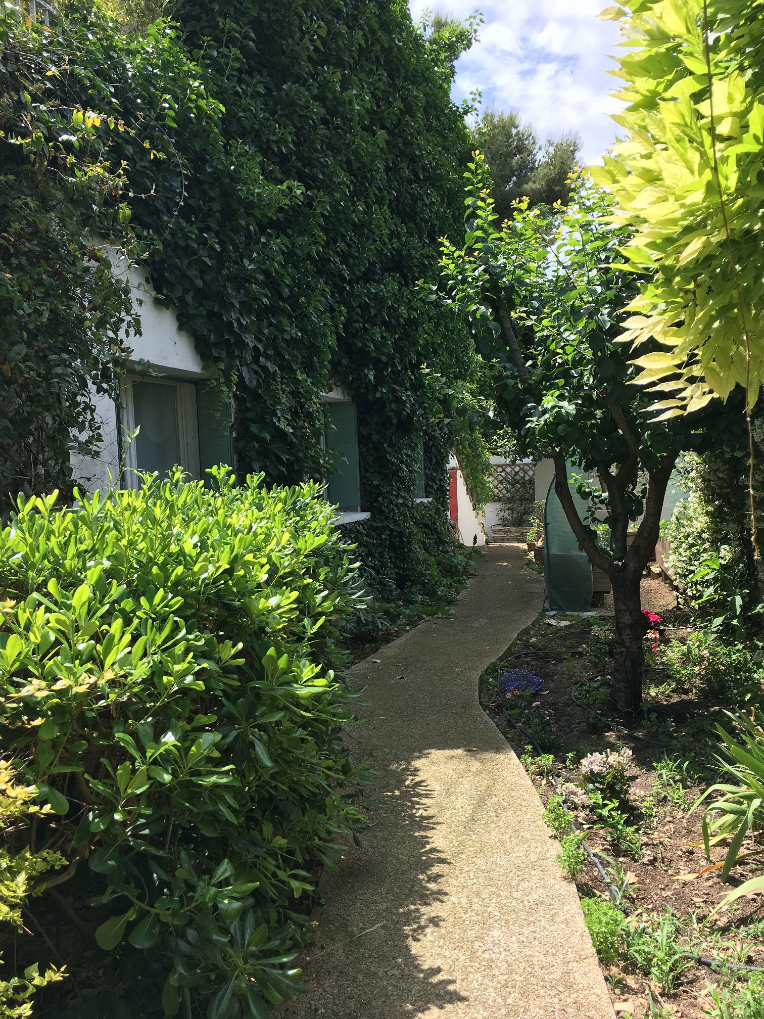 Gastfamilie Montpellier 644086