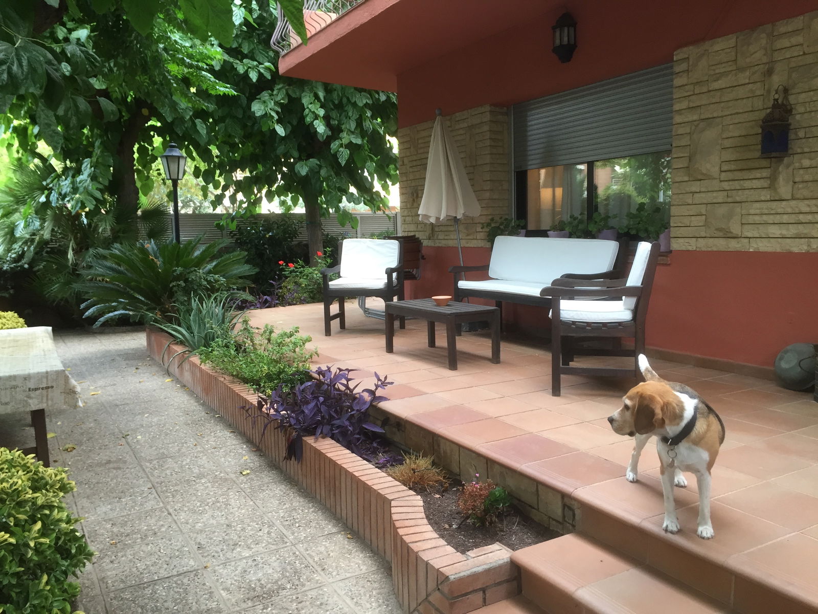 Gastfamilie Castelldefels 109601