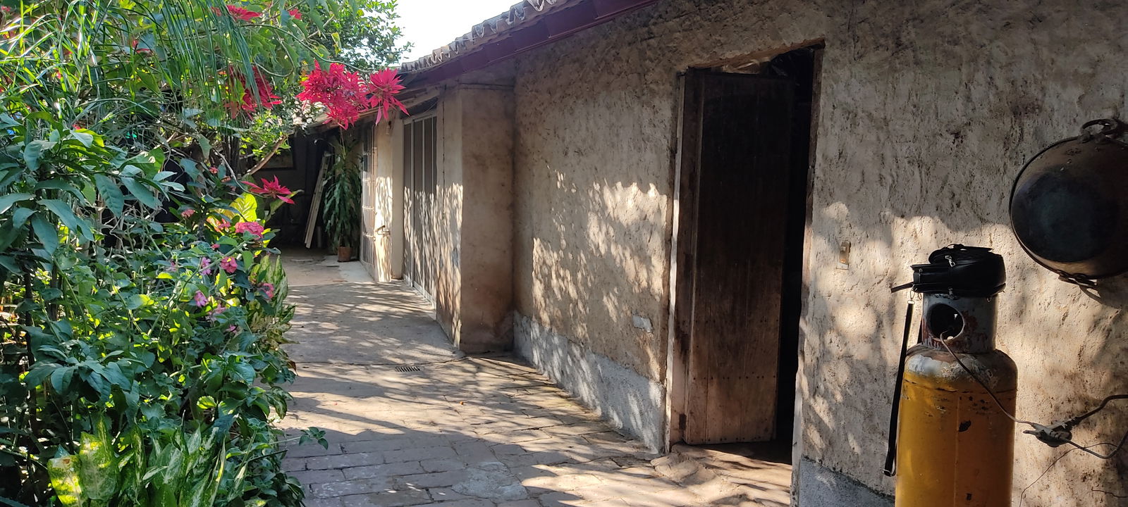 Gastfamilie Autlán de Navarro 260481