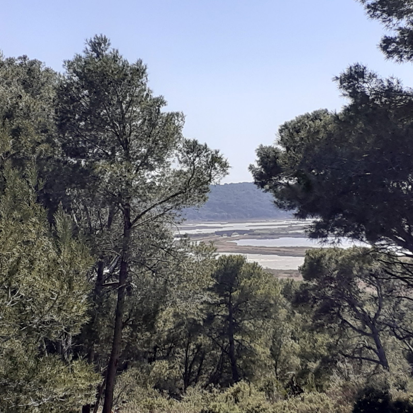 Gastfamilie Salles-d'Aude 86765