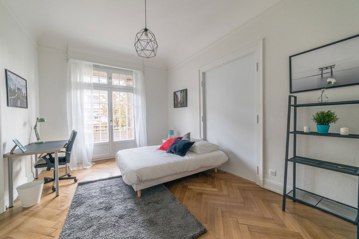 Kolokation Strasbourg 264690