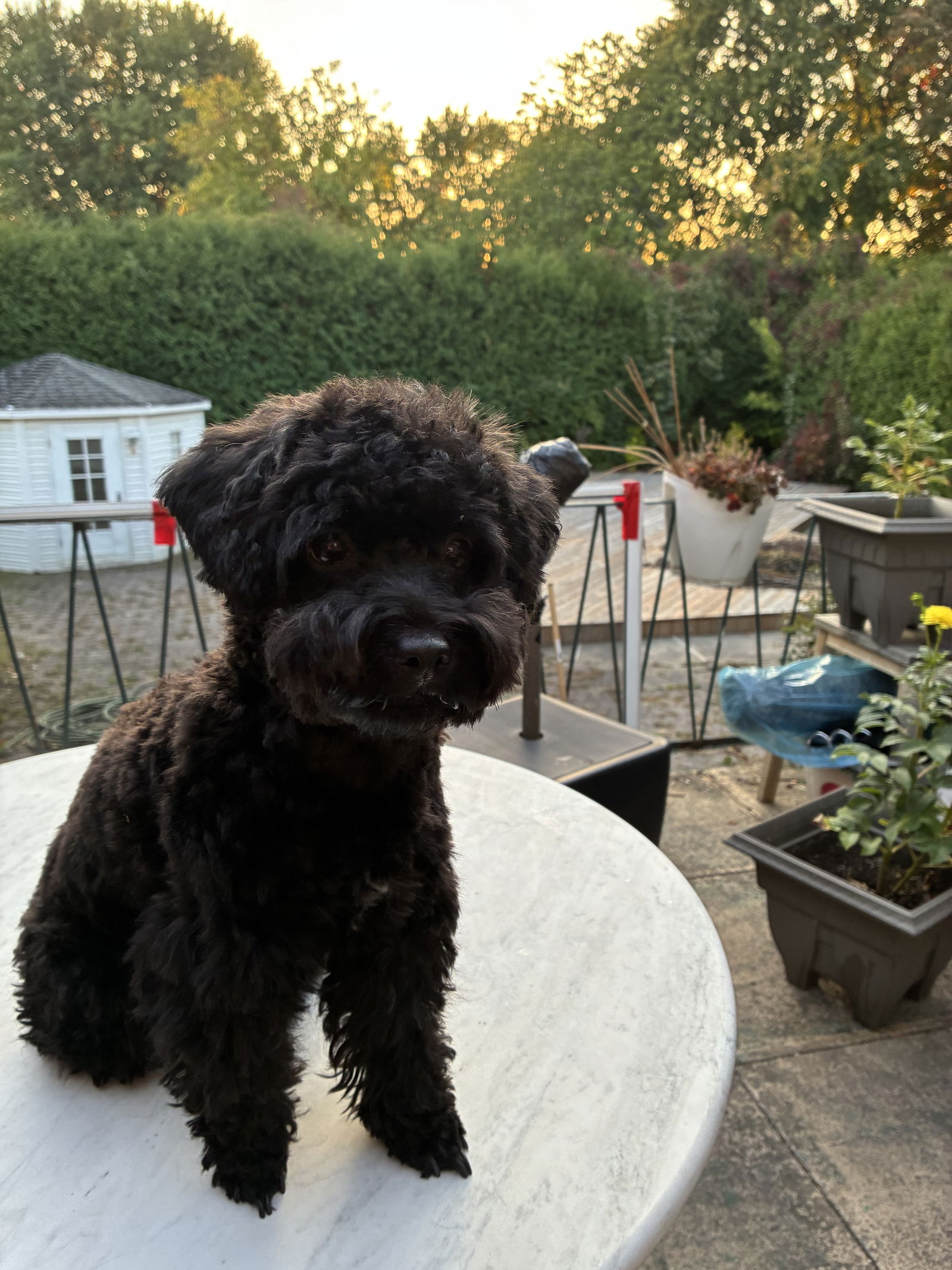 Gastfamilie Brossard 625550