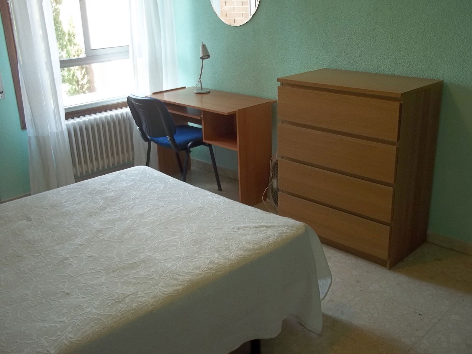 Kolokation Alcalá de Henares 177215