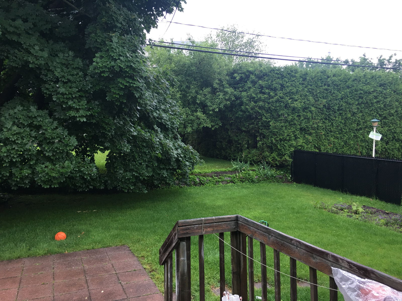 Kolokation Québec 384266