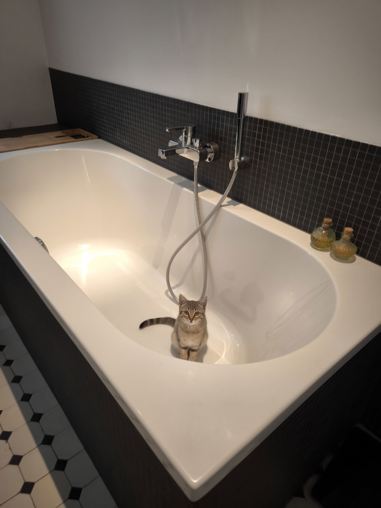 Coliving Anderlecht 629045