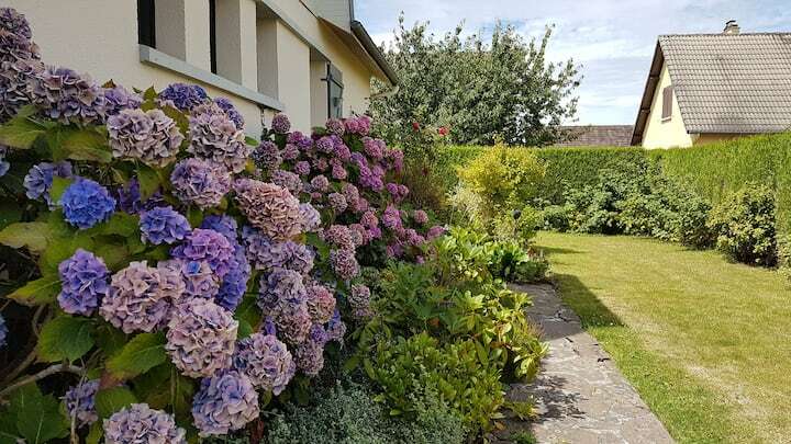 Colocatie Saint-Pierre-de-Varengeville 253121