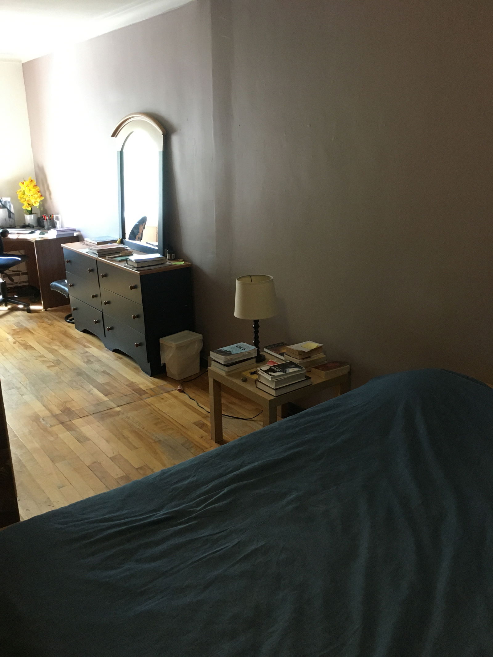 Colocatie Montréal 239866