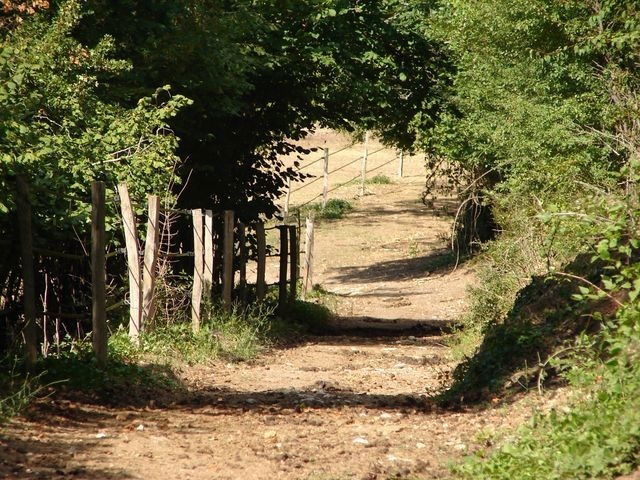 Gastgezin Saint-Yrieix-sur-Charente 48285