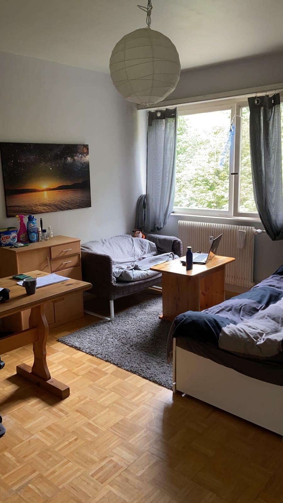 Colocatie Strasbourg 249022