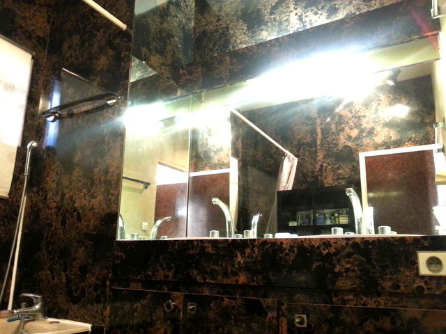 Colocatie Toulouse 44060