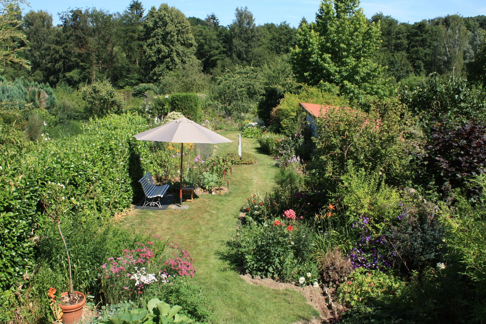 Colocatie Lasne 17803