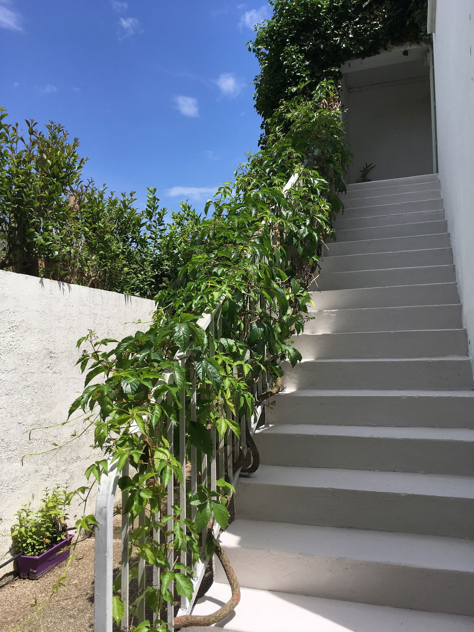 Onafhankelijke Studio Montpellier 622050