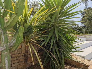 Entire Home Six-Fours-Les-Plages 249674-12