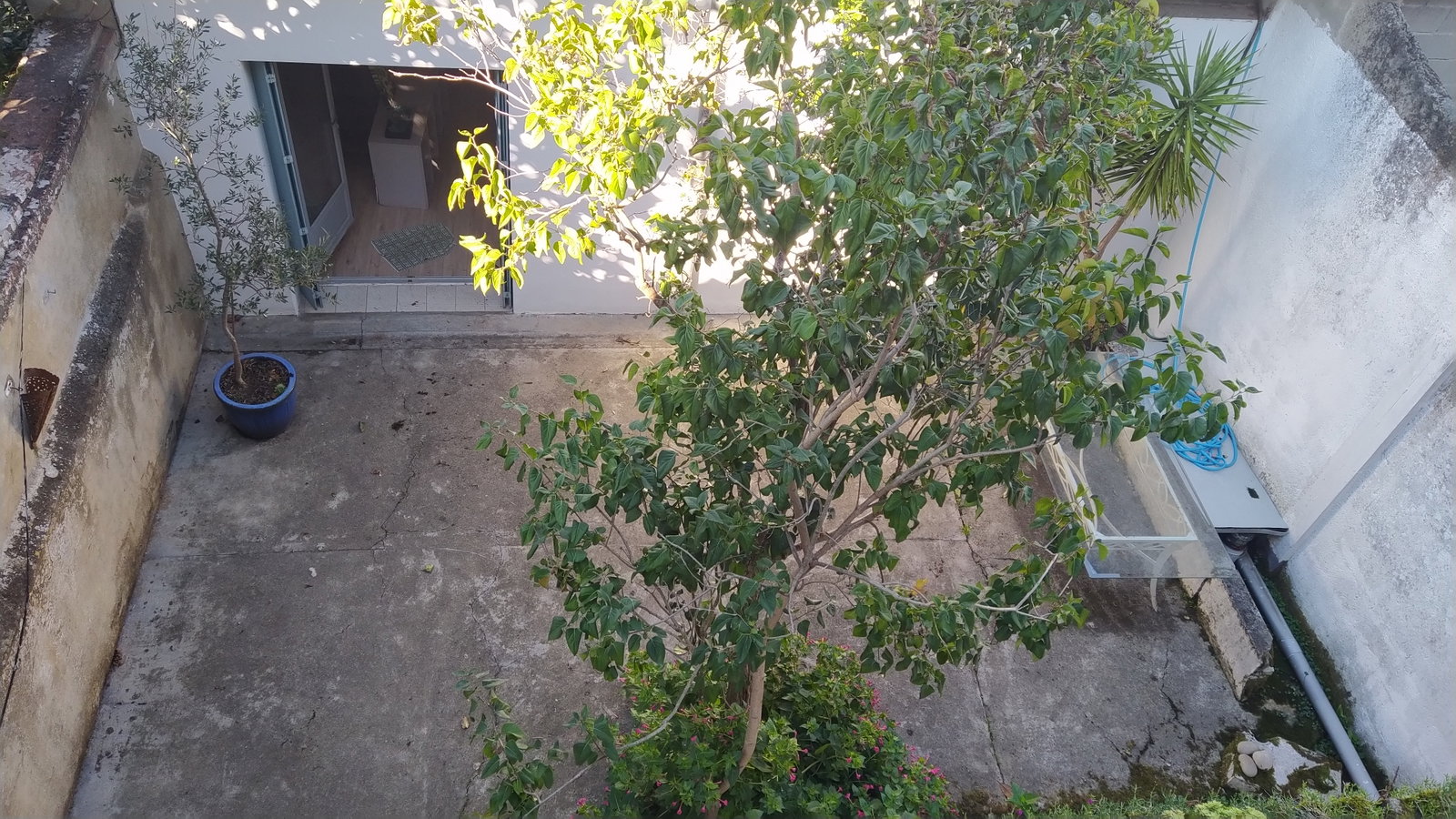 Homestay Muret 664247