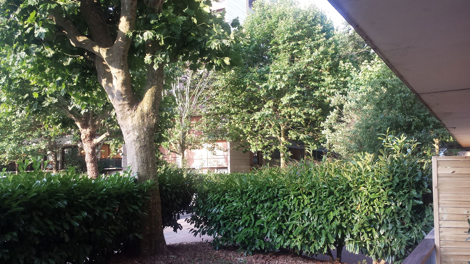 Homestay Fontenay-le-Fleury 264998