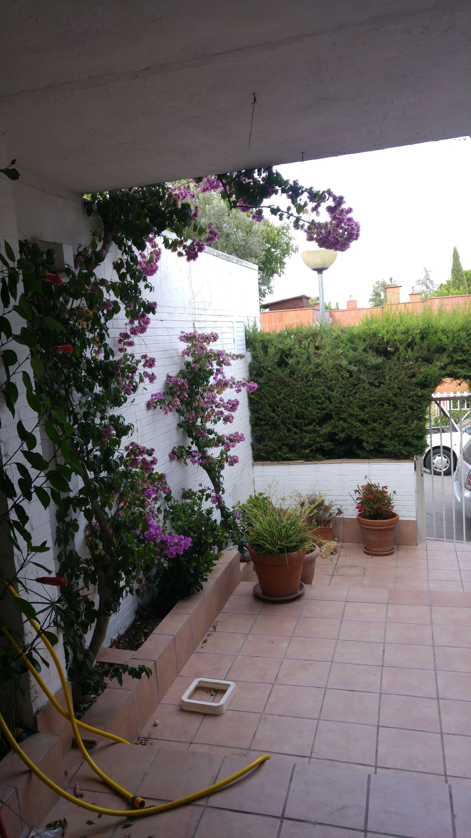 Homestay Cerdanyola del Vallès 179623