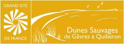 Colocation Lorient 244362