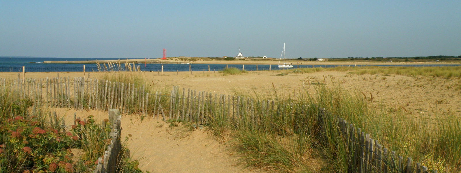 Colocation Lorient 244362