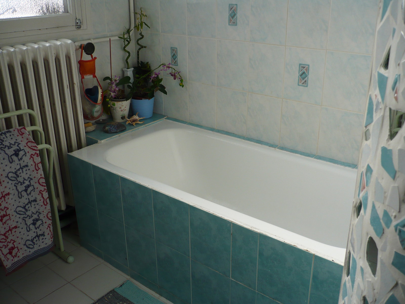 Colocation Toulon 520015