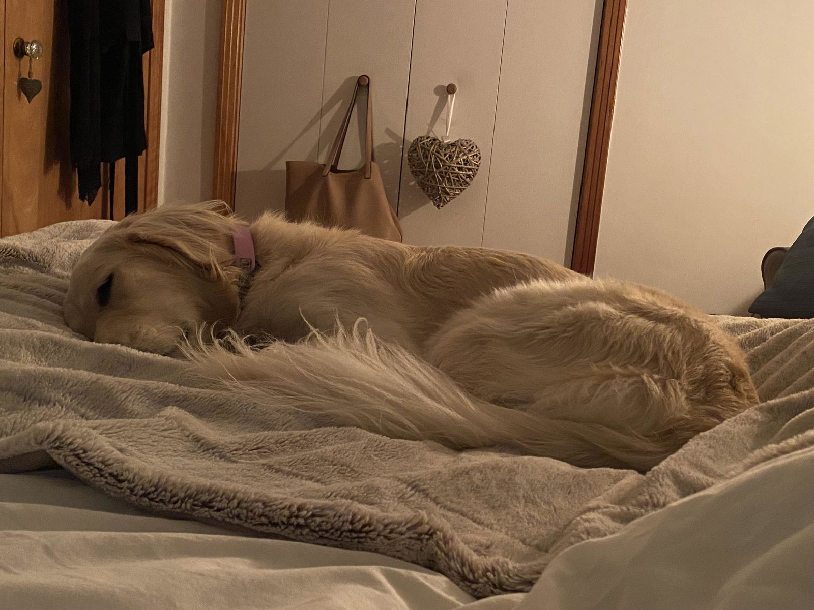 Homestay Sherbrooke 656321