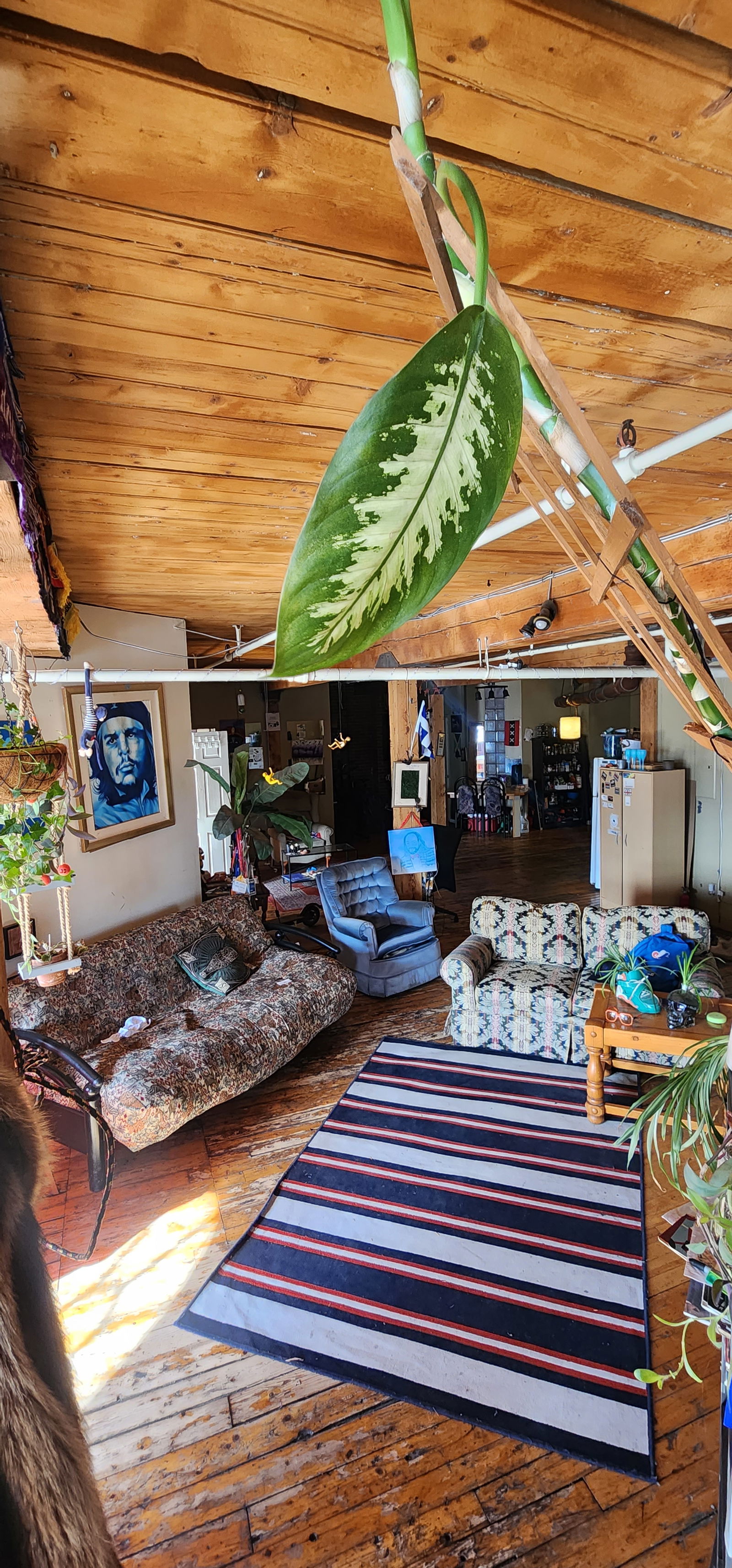 Homestay Montréal 328538